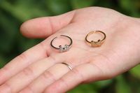 Korean Style Micro-set Zircon Butterfly Ring 18k Gold Copper Open Index Finger Ring main image 6