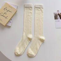 College Style Calf Socks Spring And Autumn Middle Tube Socks Striped Hollow Cotton Socks sku image 1