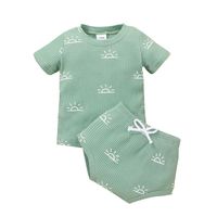 Summer Baby Pit Strip Short-sleeved Romper Set Casual Solid Color Baby Briefs Two-piece Set sku image 6