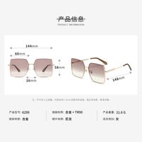 Fashion Nylon Sunglasses Square Sunglasses Wholesale main image 3