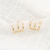 Light Luxury Small Temperament Paw Earrings sku image 1