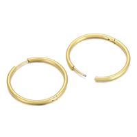 Fashion Geometric Plating Stainless Steel No Inlaid 18K Gold Plated Earrings main image 2