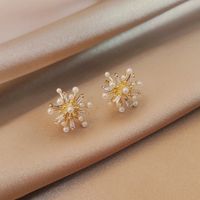 Fashion 925 Silver Needle Fireworks Pearl Zircon Earrings Wholesale main image 1