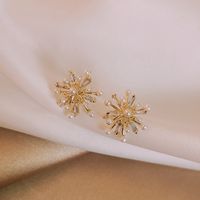 Fashion 925 Silver Needle Fireworks Pearl Zircon Earrings Wholesale main image 5