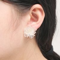 Spring And Summer Flower Frosted Transparent Acrylic Earrings main image 3
