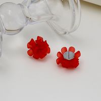 Spring And Summer Flower Frosted Transparent Acrylic Earrings main image 5