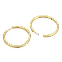 Fashion Geometric Plating Stainless Steel No Inlaid 18K Gold Plated Earrings sku image 22