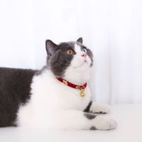 Pet Bell Adjustable Collar Bronzing Chinese Style Cat Dog Collar main image 4