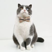 Pet British Gentleman Plaid Striped Bow Tie Collar Cat Dog Anti-suffocation Accessories main image 3