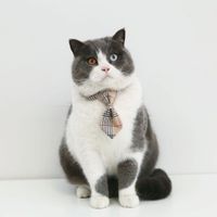 Pet British Gentleman Plaid Striped Bow Tie Collar Cat Dog Anti-suffocation Accessories main image 4