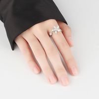 Rotating Windmill Index Finger Ring Opening Adjustable Simple Copper Ring Female main image 1