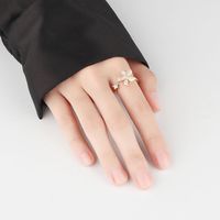 Rotating Windmill Index Finger Ring Opening Adjustable Simple Copper Ring Female main image 4