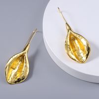 Fashion Texture Metal Earrings Long Pastoral Style Flower Bud Alloy Earrings main image 1