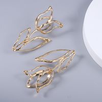 Exaggerated Style Metal Flower Earrings Fashion Long Texture Flower Earrings Wholesale main image 4