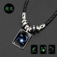 Luminous Men's Twelve Constellation Crystal Black Rope Black Gallstone Necklace main image 3