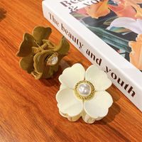 Einfache Mehrfarbige Perlenblumen-greiferclip-haarspange Großhandel main image 4