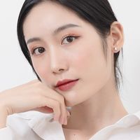 New Korean 925 Sterling Silver Zircon Small Earrings Female Wholesale main image 4