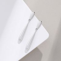 New S925 Sterling Silver Long Tassel Drop-shaped Texture Earrings main image 4