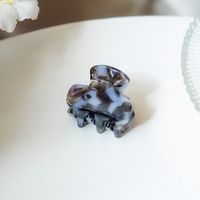 Korean Style Tortoiseshell Contrast Color Mini Small Size Hair Clip Wholesale sku image 7