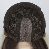 Ladies Wigs Lace In The Gradient Color Long Straight Hair Wigs Chemical Fiber Headgear main image 9