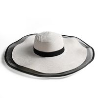 Fashion Hat Sunshade Big Brim Straw Hat Simple Beach Hat sku image 3