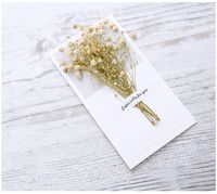 Fashion Gypsophila Dried Flower Greeting Card Mother's Day Greeting Card sku image 9