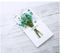 Fashion Gypsophila Dried Flower Greeting Card Mother's Day Greeting Card sku image 11