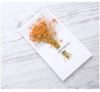 Fashion Gypsophila Dried Flower Greeting Card Mother's Day Greeting Card sku image 13