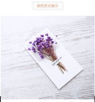 Fashion Gypsophila Dried Flower Greeting Card Mother's Day Greeting Card sku image 14