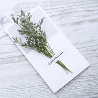 Fashion Gypsophila Dried Flower Greeting Card Mother's Day Greeting Card sku image 18