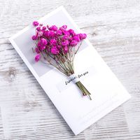 Fashion Gypsophila Dried Flower Greeting Card Mother's Day Greeting Card sku image 19