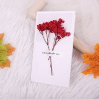 Fashion Gypsophila Dried Flower Greeting Card Mother's Day Greeting Card sku image 4