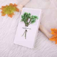 Fashion Gypsophila Dried Flower Greeting Card Mother's Day Greeting Card sku image 1