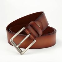 New Men's Leather Pin Buckle Fashion Business Alloy Buckle Pants Belt main image 5