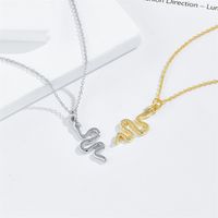 Fashion Snake-shaped Pendant Retro Simple Copper Necklace main image 1
