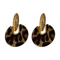 Pendientes Colgantes De Aleación Simples Con Círculo Geométrico Y Estampado De Leopardo Acrílico A La Moda main image 6