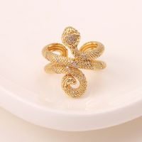 Hip-hop Exaggerated Geometric Double-layer Snake-shaped Copper Tail Ring main image 1