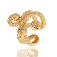 Hip-hop Exaggerated Geometric Double-layer Snake-shaped Copper Tail Ring main image 6