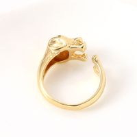 Women's Jewelry Copper Gold Plated Creative Dog Tail Ring Wholesale main image 4