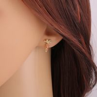 New Cute Bunny Carrot Copper Inlaid Zircon Earrings main image 4