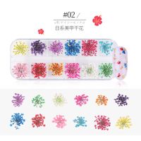 Nail Dried Starry Sun Flower Daffodils Five-petal 12 Colors 24 Boxes sku image 1