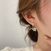 Korean Style Inlaid Zircon Flower Shaped Alloy Drop Earrings main image 1