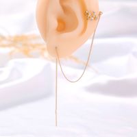 Pair Of New Fashion Copper Micro-inlaid Zircon Branch Pendant Tassel Pierced Earrings main image 7