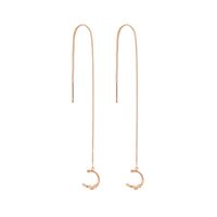 Pair Of New Fashion Copper Micro-inlaid Zircon Branch Pendant Tassel Pierced Earrings main image 9