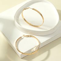 Exaggerated Geometric Circle Solid Color Alloy Hoop Earrings Wholesale main image 3
