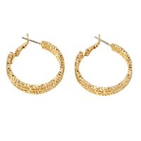 Retro Braided Style Hollowed Circle Alloy Hoop Earrings Wholesale main image 6