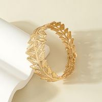 Ethnic Style Carved Leaves Flower Shaped Hollowed Alloy Bangles Wholesale main image 3