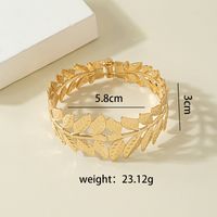 Ethnic Style Carved Leaves Flower Shaped Hollowed Alloy Bangles Wholesale main image 4