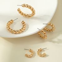 Simple Solid Color Twisted Circle Alloy Earrings Ear Studs Wholesale main image 2