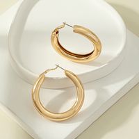 Exaggerated Large Circle Geometric Twisted Alloy Hoop Earrings sku image 2